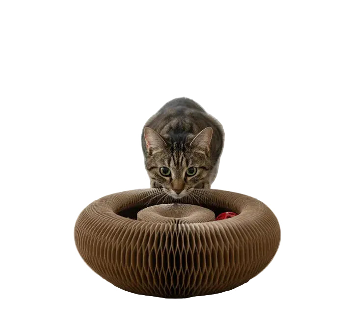 Cat Toy with Scratching Pad